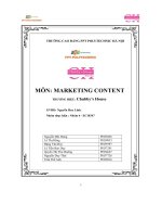 tiểu luận môn marketing contentthương hiệu chubbys house