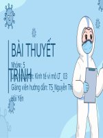 phân tích biến động cung cầu khẩu trang tại việt nam