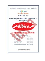 tiểu luận báo cáo dự án 1 lập kế hoạch marketing cho công ty cổ phần bibica