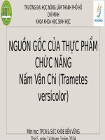 bài tập nguồn gốc tpcn từ nấm