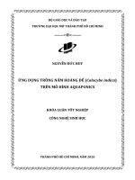 ứng dụng trồng nấm hoàng đế calocybe indica trên mô hình aquaponics