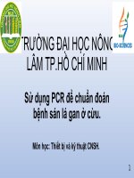 Sử dụng PCR để chuẩn đoán bệnh sán lá gan ở cừu