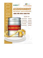 tiểu luận môn quản trị bán hàng tổng công ty bia rượu nước giải khát hà nội