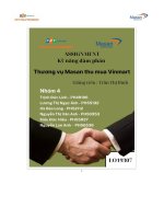 tiểu luận thương vụ massan mua lại vinmart