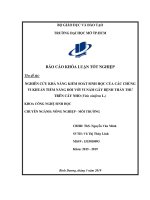 nghiên cứu khả năng kiểm soát sinh học của các chủng vi khuẩn tiềm năng đối với vi nấm gây bệnh thán thư trên cây nho vitis vinifera l