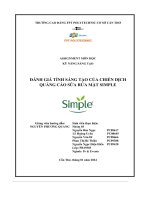 tiểu luận đánh giá tính sáng tạo của chiến dịchquảng cáo sữa rửa mặt simple