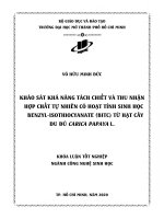 khảo sát khả năng tách chiết và thu nhận hợp chất tự nhiên có hoạt tính sinh học benzyl isothiocyanate bitc từ hạt cây đu đủ carica papaya l