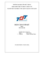 Báo cáo cuối kỳ tổng quan dl