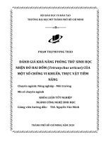 đánh giá khả năng phòng trừ sinh học nhện đỏ hai đốm tetranychus urticae của một số chủng vi khuẩn thực vật tiềm năng