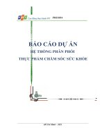 tiểu luận báo cáo dự ánhệ thống phân phối thực phẩm chăm sóc sức khỏe