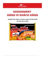 tiểu luận nghiên cứu hành vi khách hàng về sản phẩm mì hảo hảo upsize