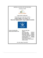 tiểu luận assignment môn học nhập môn quan hệ công chúnggiới thiệu về công tytrách nhiệm hữu hạn dirtycoins