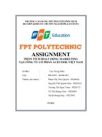tiểu luận assignment phân tích hoạt động marketing tại công ty cổ phần acecook việt nam