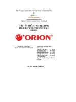 tiểu luận truyền thông marketingtích hợp cho thương hiệuorion