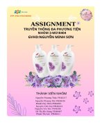 tiểu luận tổng quan về dự án quảng cáo sản phầm sữa tắmenchanteur