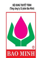 tổng công ty cổ phần bảo minh giới thiệu về tổng công ty cổ phần bảo minh