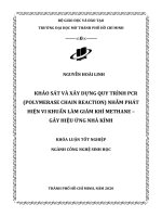 khảo sát và xây dựng quy trình pcr polymerase chain reaction nhằm phát hiện vi khuẩn làm giảm khí methane gây hiệu ứng nhà kính