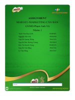 tiểu luận tổng quan về doanh nghiệp nestlé