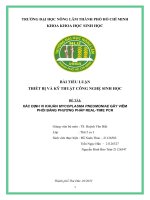 Phương pháp rt pcr Để xác Định vi khuẩn mycoplasma pneumoniae