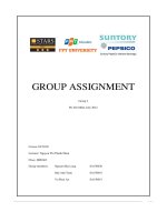 group assignment the suntory pepsico vietnam beverage company spvb