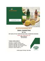 tiểu luận xây dựng và thực hiện kế hoạch email marketing innisfree