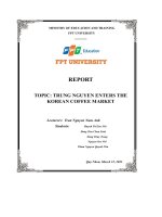report topic trung nguyen enters the korean coffee market
