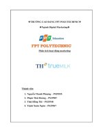 tiểu luận phân tích hoạt động marketing th true milk