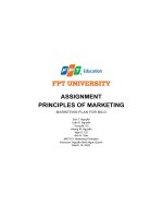 assignment principles of marketing marketing plan for milo
