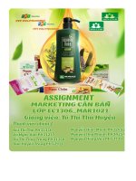 tiểu luận tổng quan về doanh nghiệp dược phẩm hoa linh