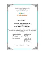 tiểu luận xây dựng và triển khai kế hoạch quảng bá websiteouistore xyz trên thiết bị di động cho doanh nghiệpouistore