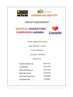 group assignment digital marketing campaign lazada