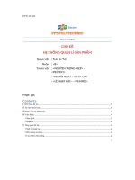 chủ đề hệ thống quản lí sản phẩm