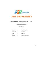 Principles Of Accounting - Acc101 Individual Assignment.pdf