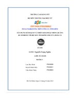 tiểu luận xây dựng kế hoạch và triển khai hoạt động quảng bá website với bộ máy tìm kiếm cho cửa hàng n1 store