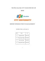 report introduction to management
