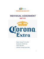 individual assignment corona extra
