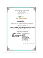 tiểu luận đề tài triển khai seo marketing trên công cụ tìmkiếm cho công ty josephine candle