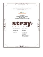 thiết kế thương hiệu quán stray coffee