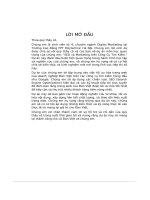 tiểu luận seo và marketing trên công cụ tìm kiếm tên thương hiệu đàn việt