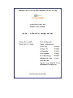 assignment môn học robot công nghiệp robot gắp hàng 4 bậc tự do