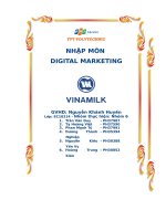 tiểu luận nhập môn digital marketing đánh giá đề xuất giải pháp phát triển digital marketing cho vinamilk