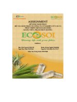tiểu luận đàm phán về công ty cp nghiên cứu sản xuất và phát triển sợi eco ecosoi
