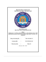 trình bày ý tưởng kinh doanh và lên kế hoạch cụ thể kinh doanh mặt hàng mang hình ảnh nhân vật hư cấu merch