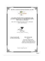 tiểu luận xây dựng kế hoạch seo marketing cho sản phẩm trang sức của thương hiệu donnatrên công cụ tìm kiếm