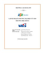 tiểu luận lập kế hoạch thương mại điện tử chothương hiệu bitis