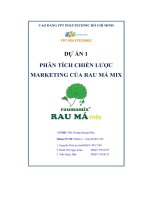 tiểu luận dự án 1 phân tích chiến lượcmarketing của rau má mix