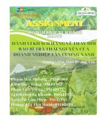 tiểu luận hành vi khách hàng về thay đổi bao bì trà thái nguyên của doanh nghiệp tân cương xanh