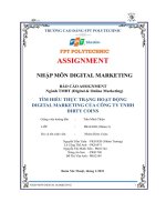 tiểu luận tìm hiểu thực trạng hoạt độngdigital marketing của công ty tnhhdirty coins