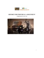 report for individual assignment corruption in viet nam