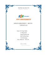 groupassignment mkt101 vinfast llc